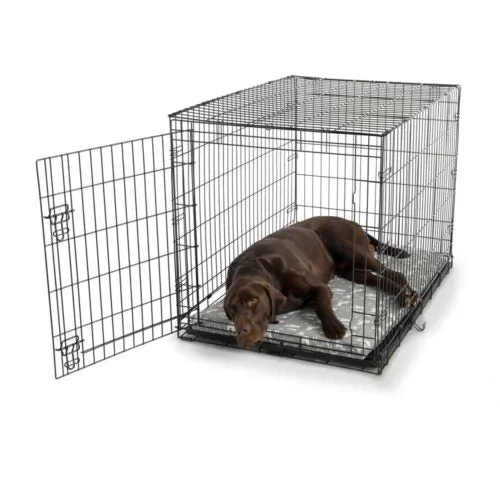 Fully-Washable Forgiveness Dog Crate Pad – Wag Collection