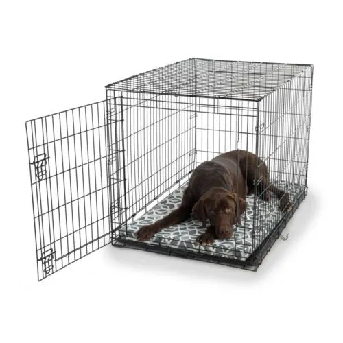 Fully-Washable Forgiveness Dog Crate Pad – Wag Collection