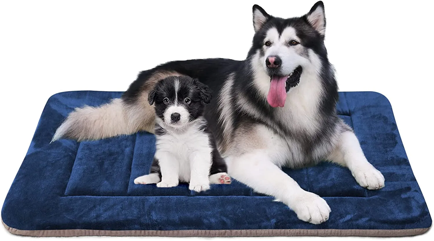 Large Dogs Crate Bed Pad