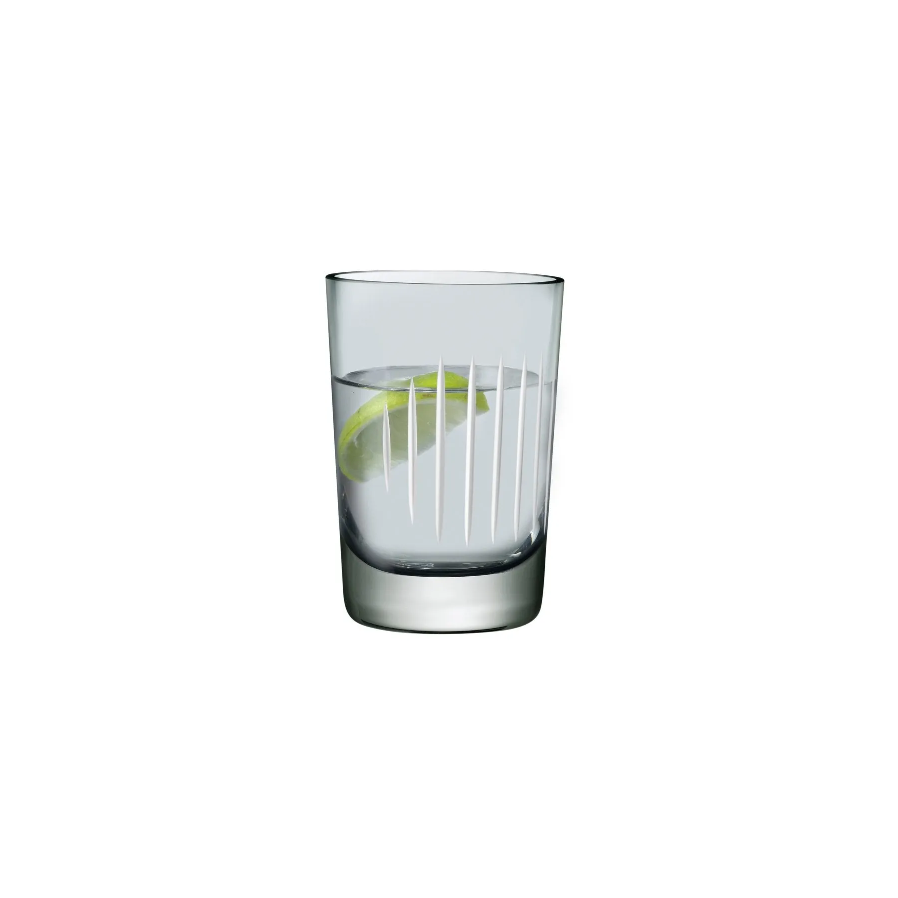 Parrot Set of 2 Water Glasses