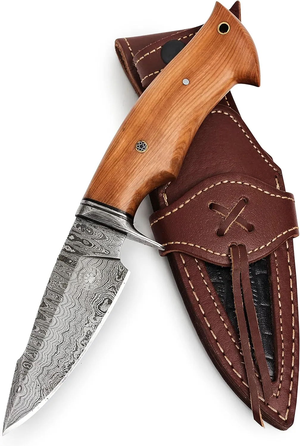 Predator Hunter Damascus Knife