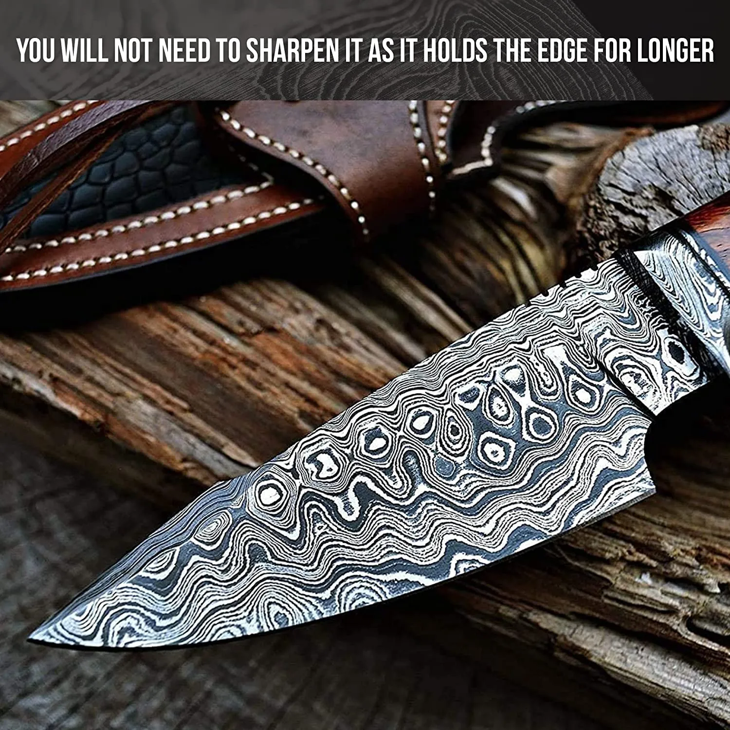 Predator Hunter Damascus Knife