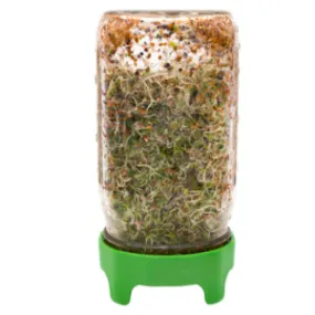 Wide Mouth Sprouting Lid w Stand Rust Proof